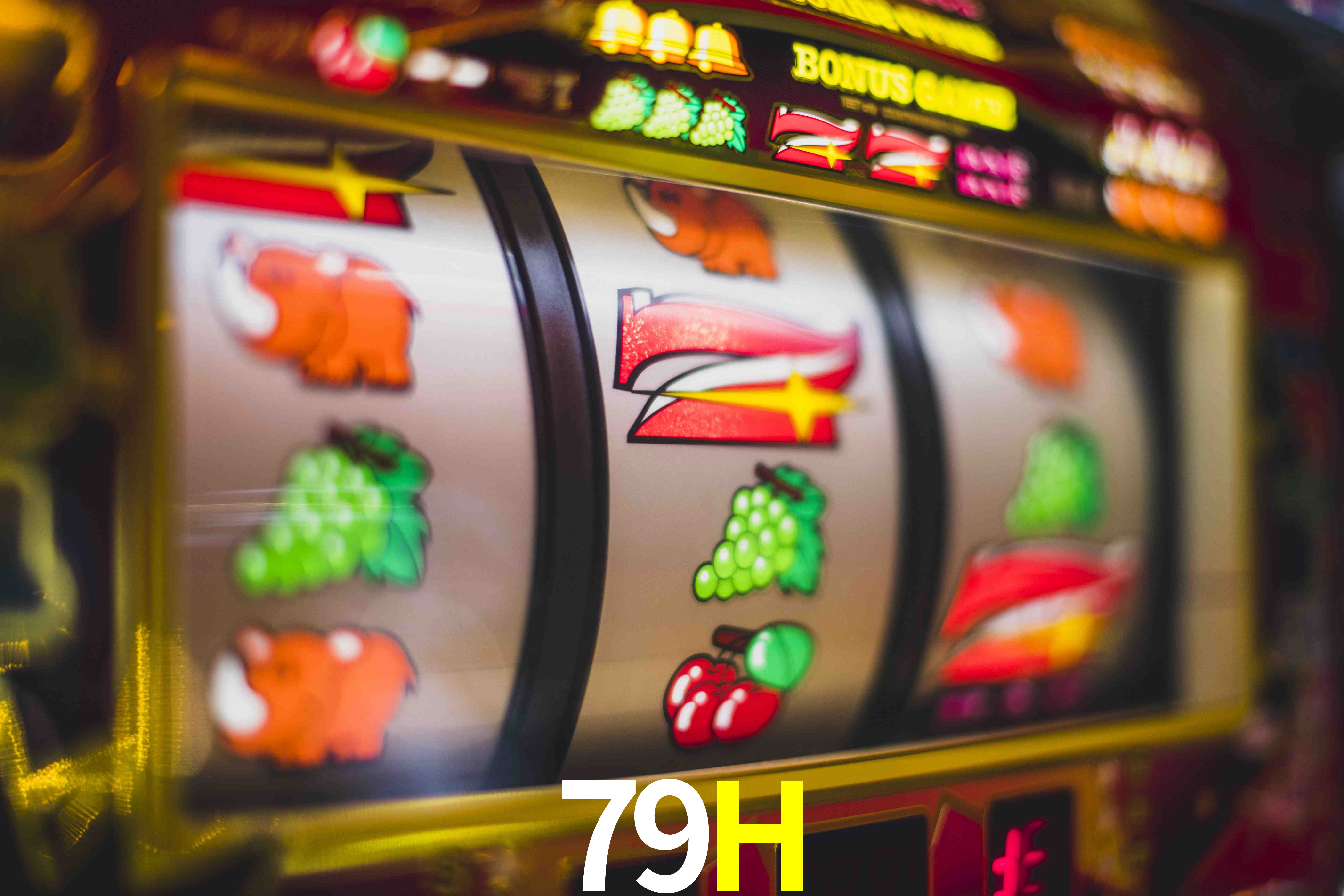 Sports Statistics 79H